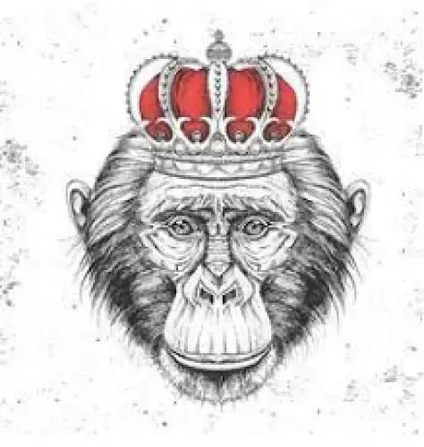 Primate Web Admin - Interface de Gestion